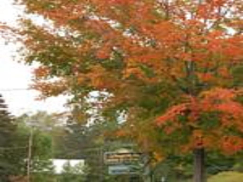 Willoughvale Inn Westmore Newport Екстер'єр фото
